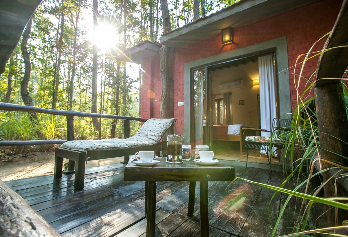 Jungle Lodge-tiger resort,Kanha