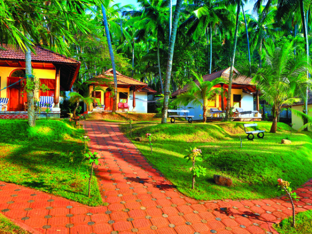 Nikki's Nest Ayurveda Therapy