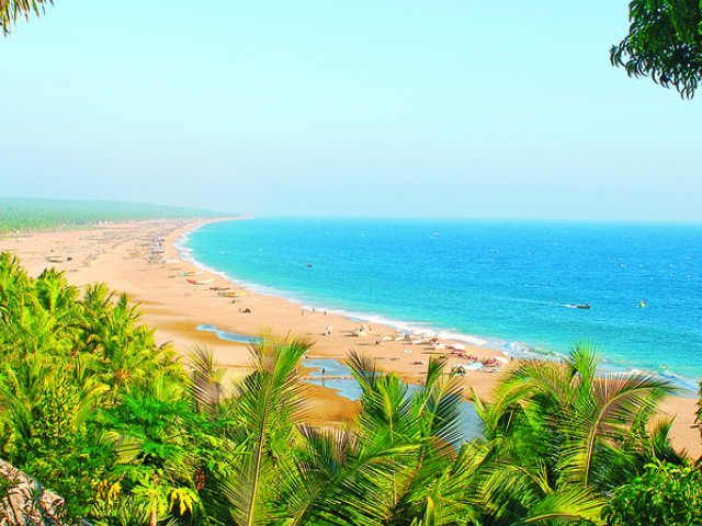 Nikki's Nest Ayurveda Therapy