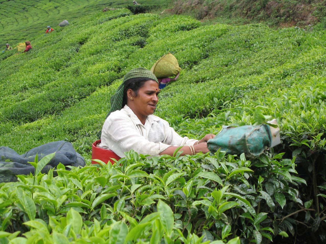 Höhepunkte Keralas mit Madurai